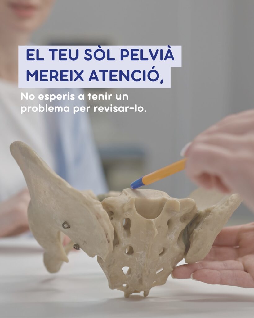 Sòl pelvià